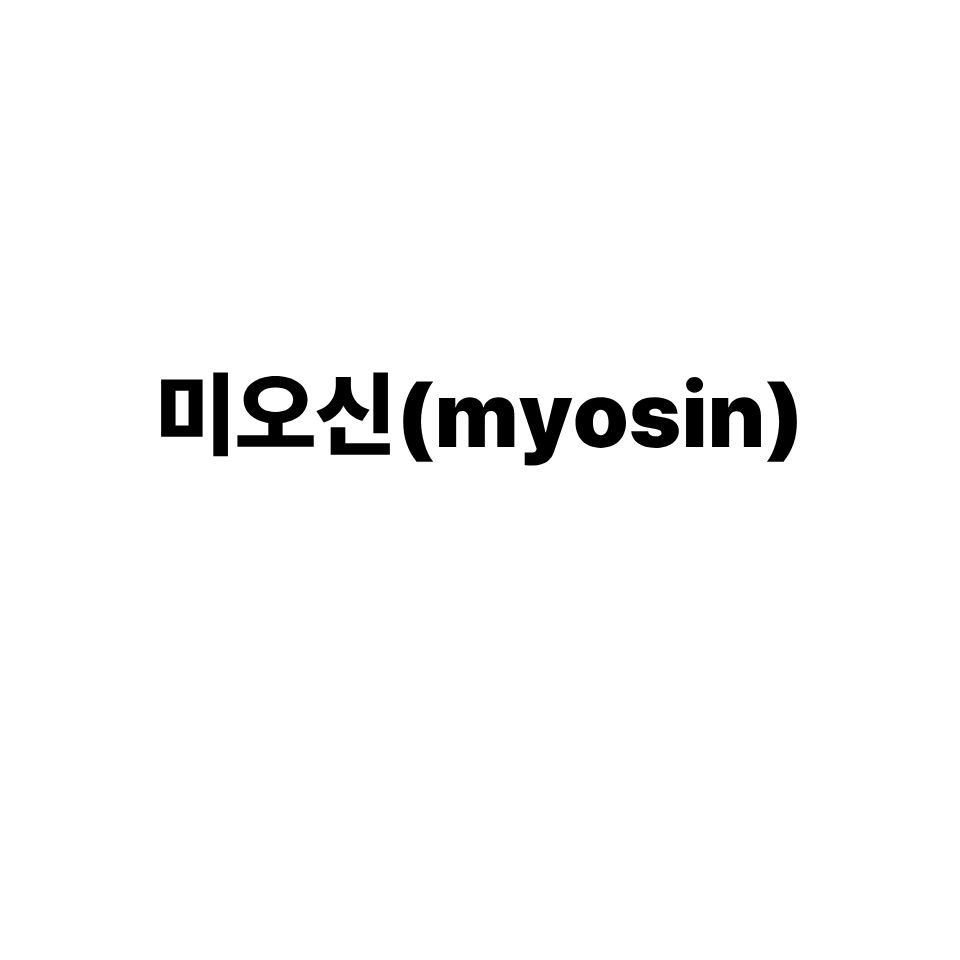 미오신
