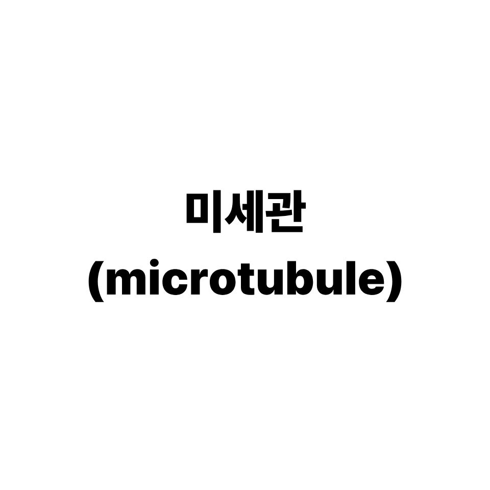 미세관