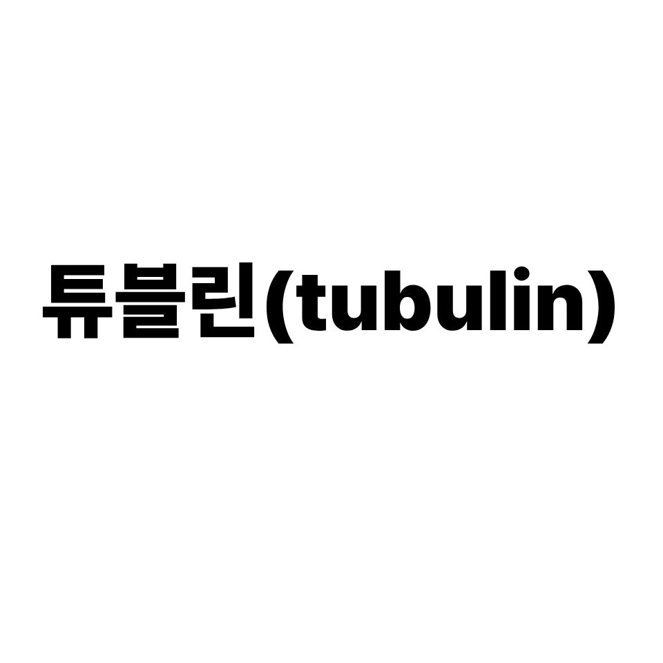 튜블린