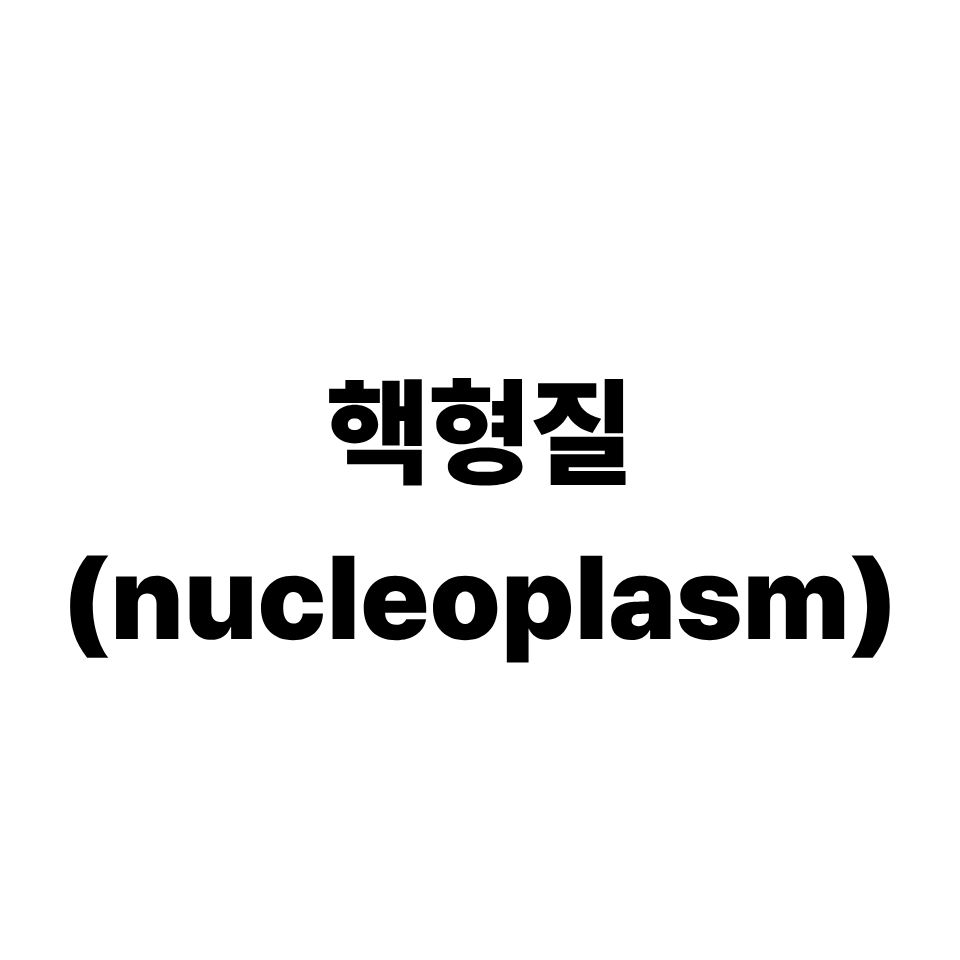 핵형질