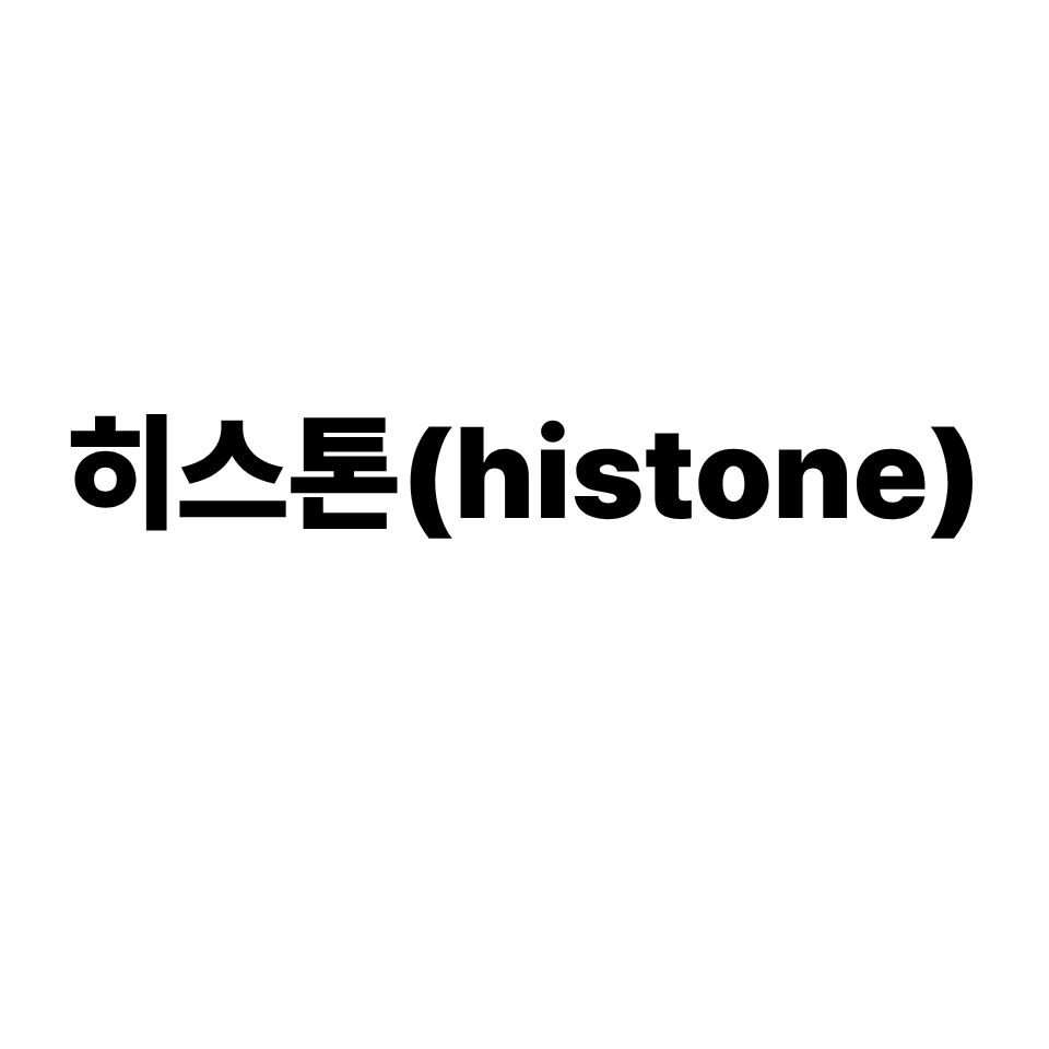히스톤