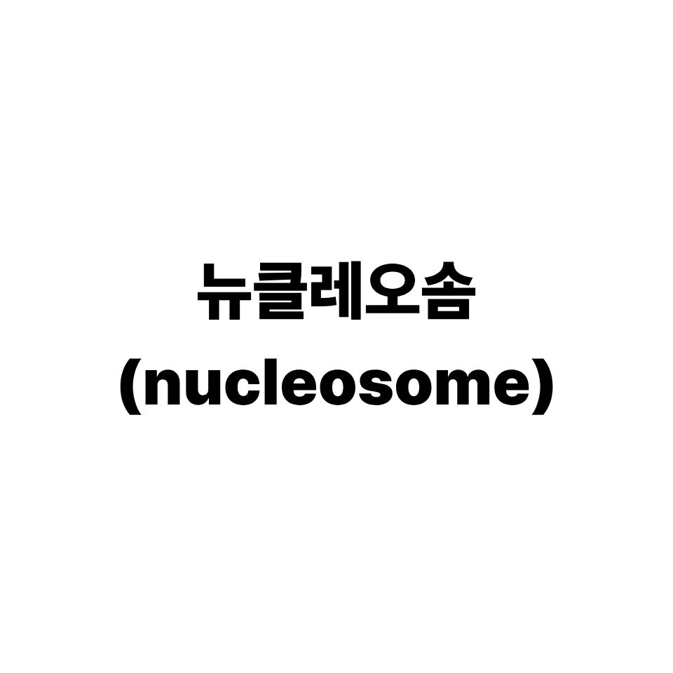 뉴클레오솜