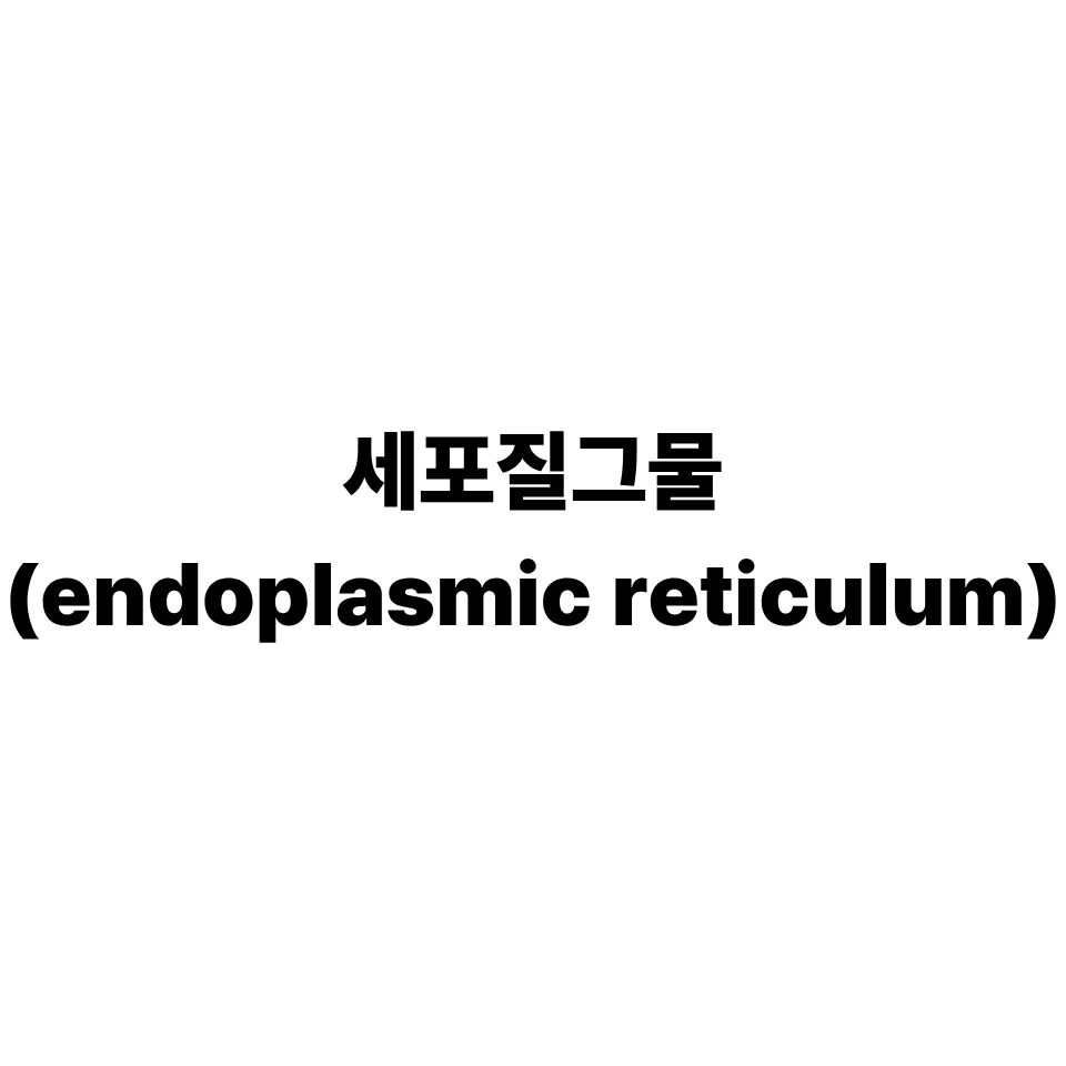 세포질그물
