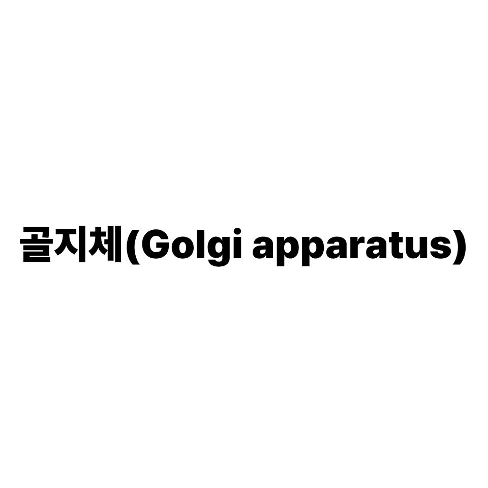 골지체