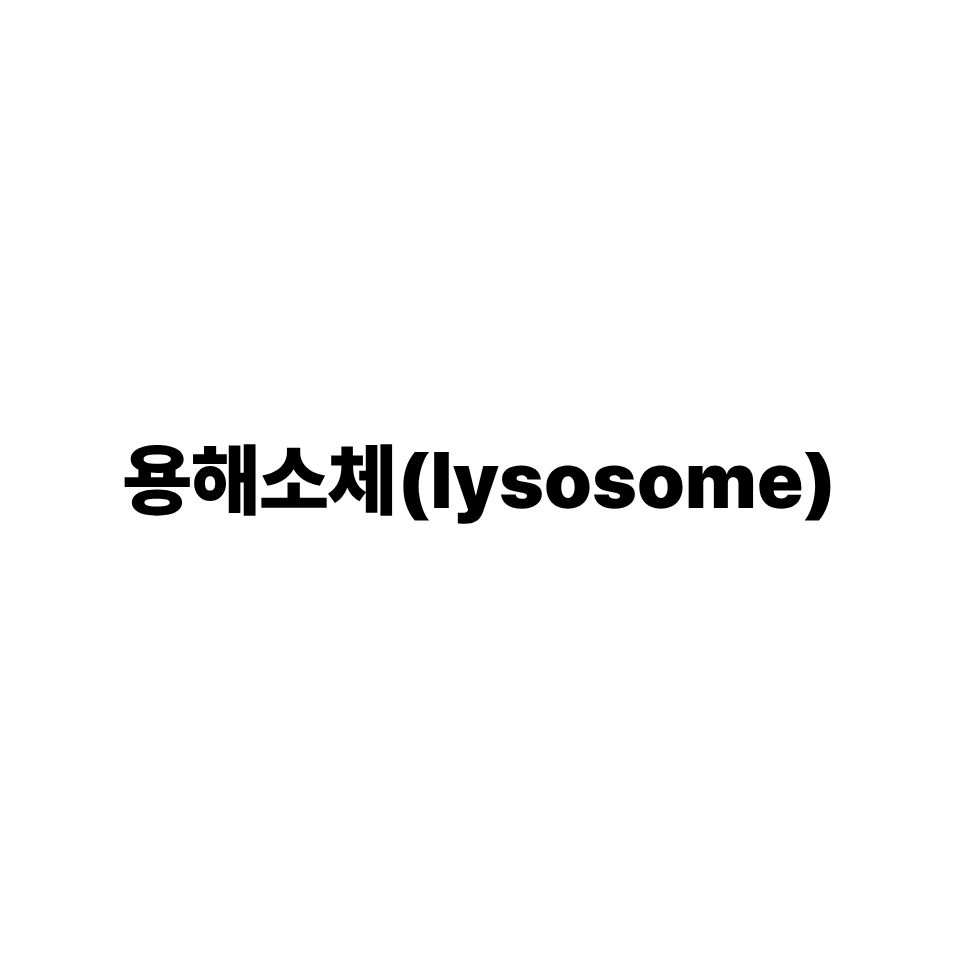 용해소체
