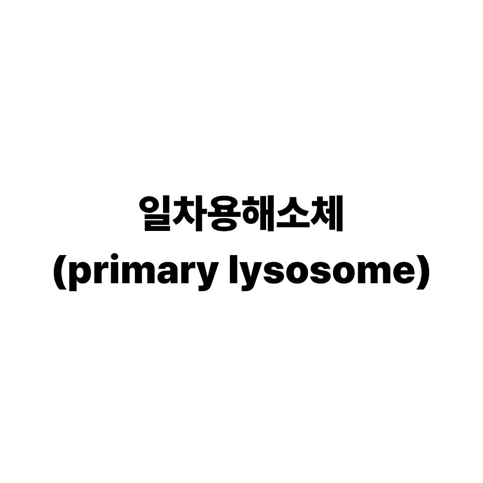 일차용해소체