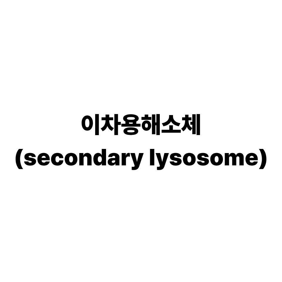 이차용해소체