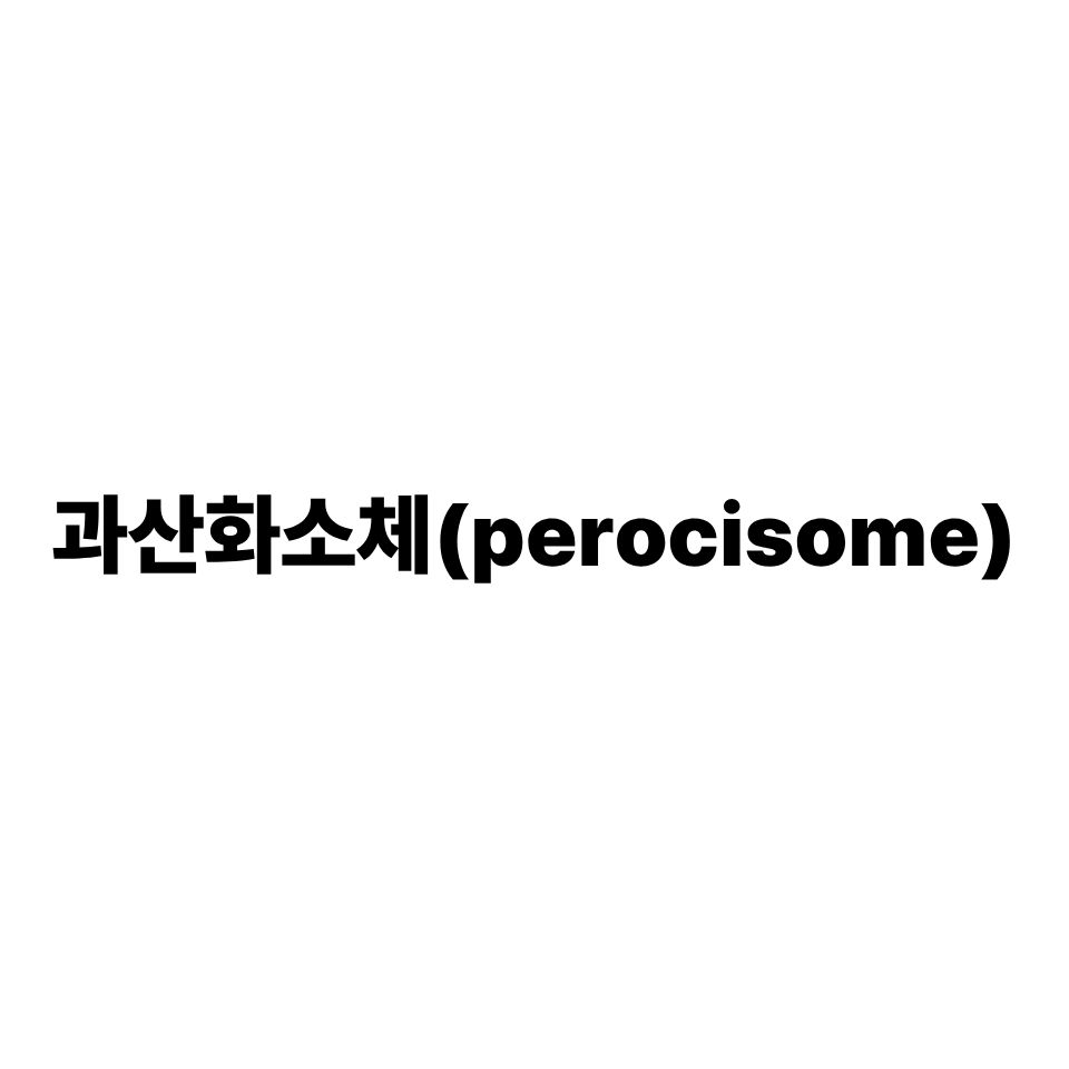 과산화소체