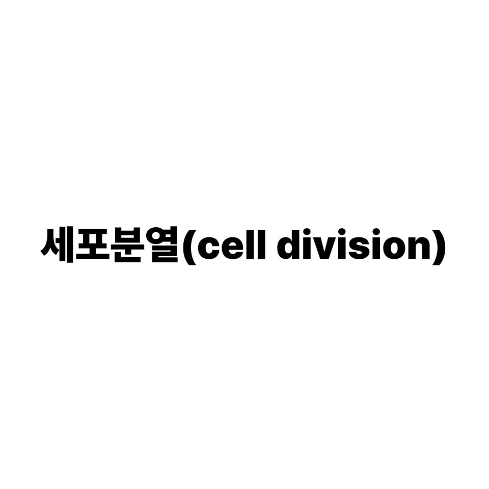 세포 분열