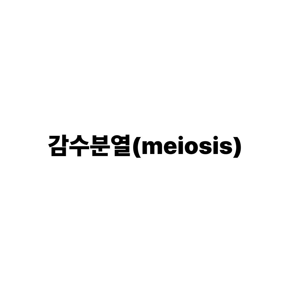 감수분열