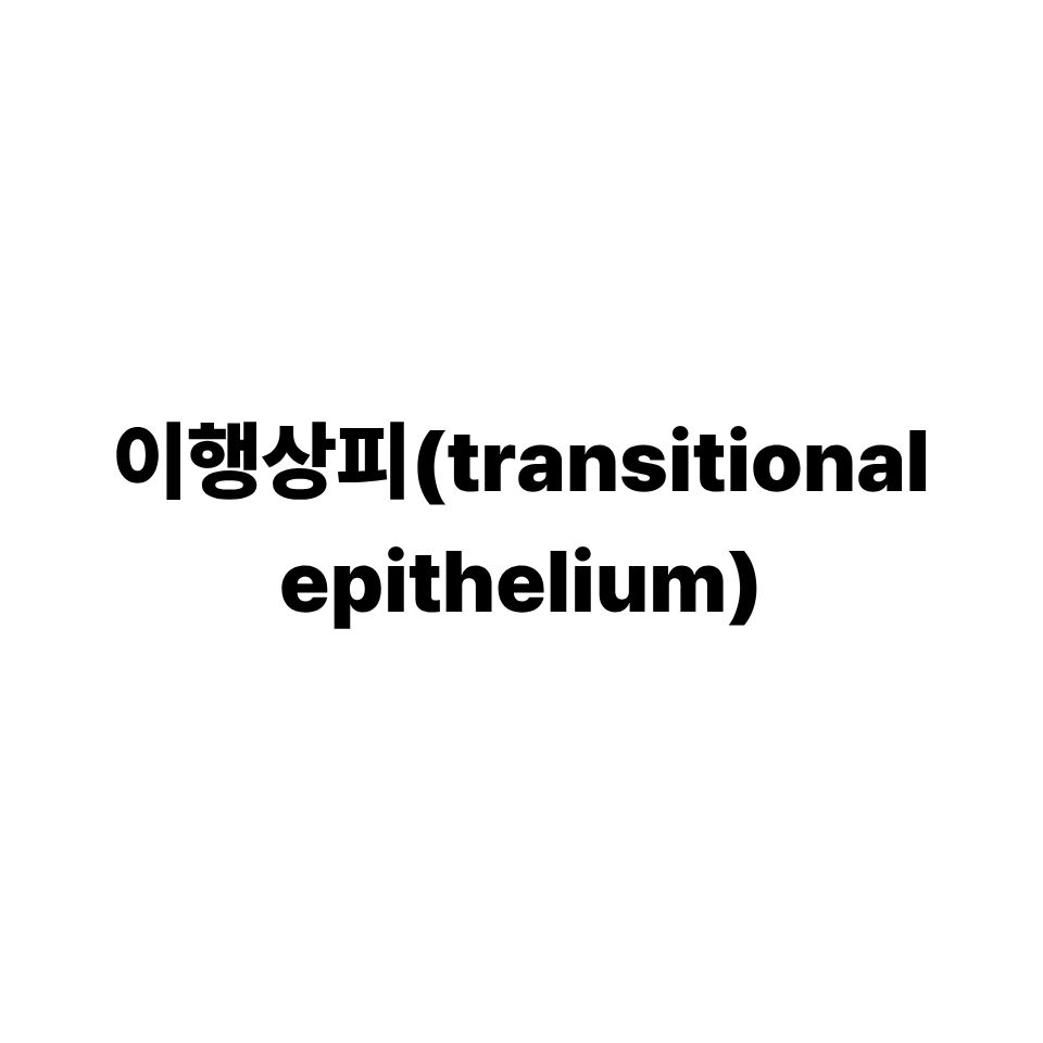 이행상피