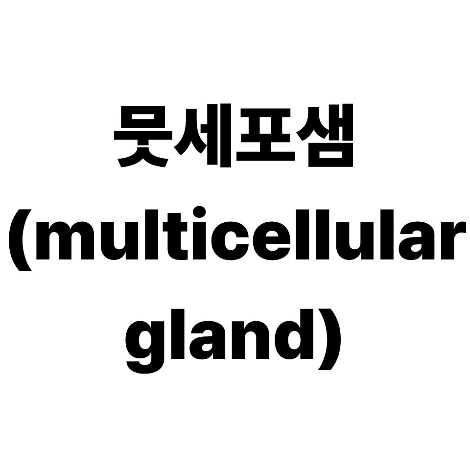 뭇세포샘