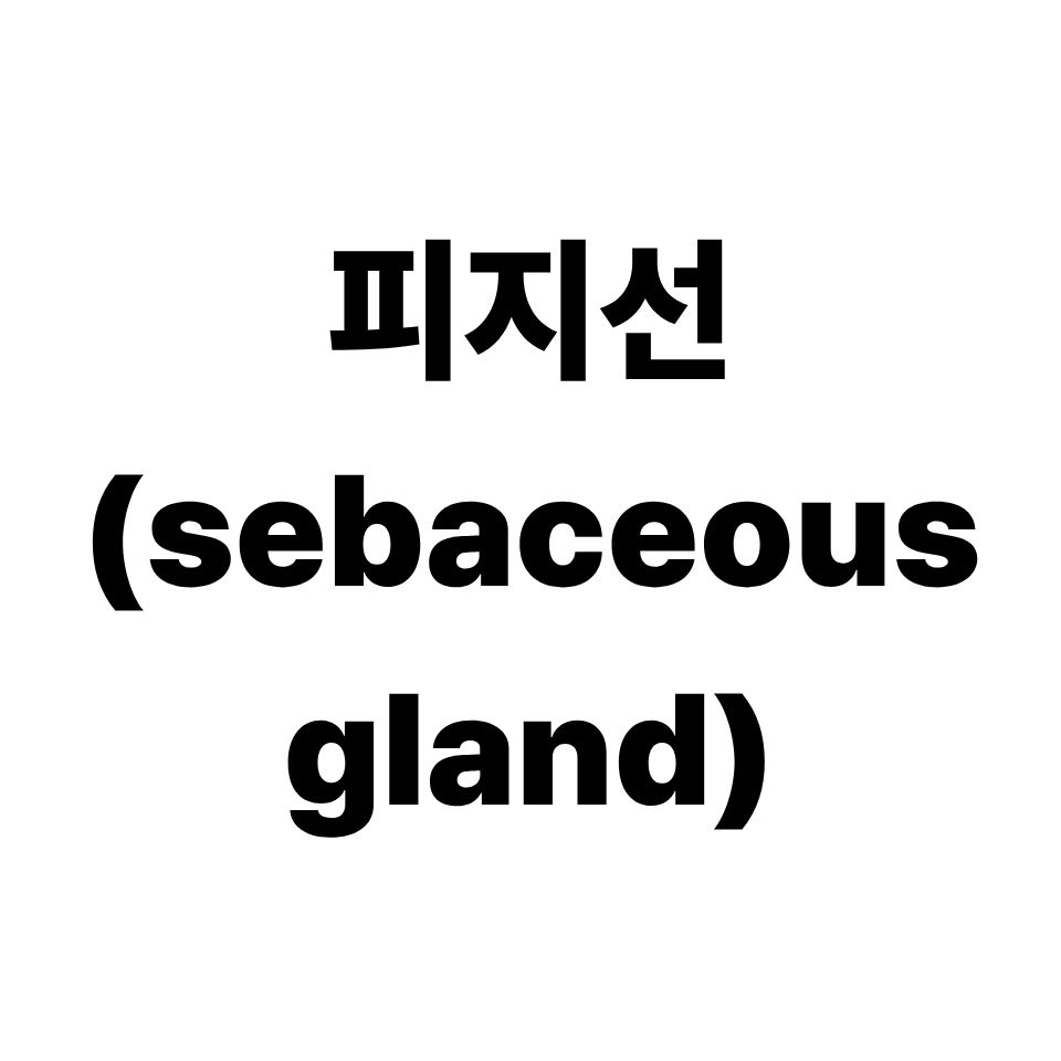 피지선