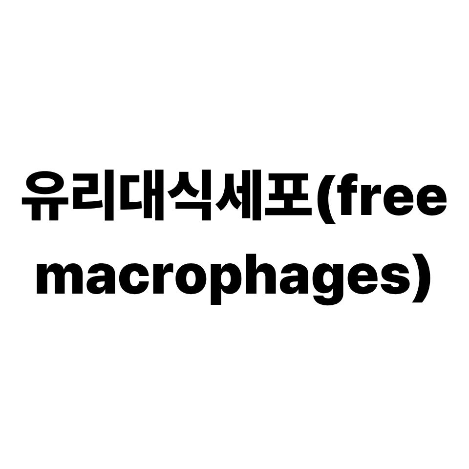 유리대식세포