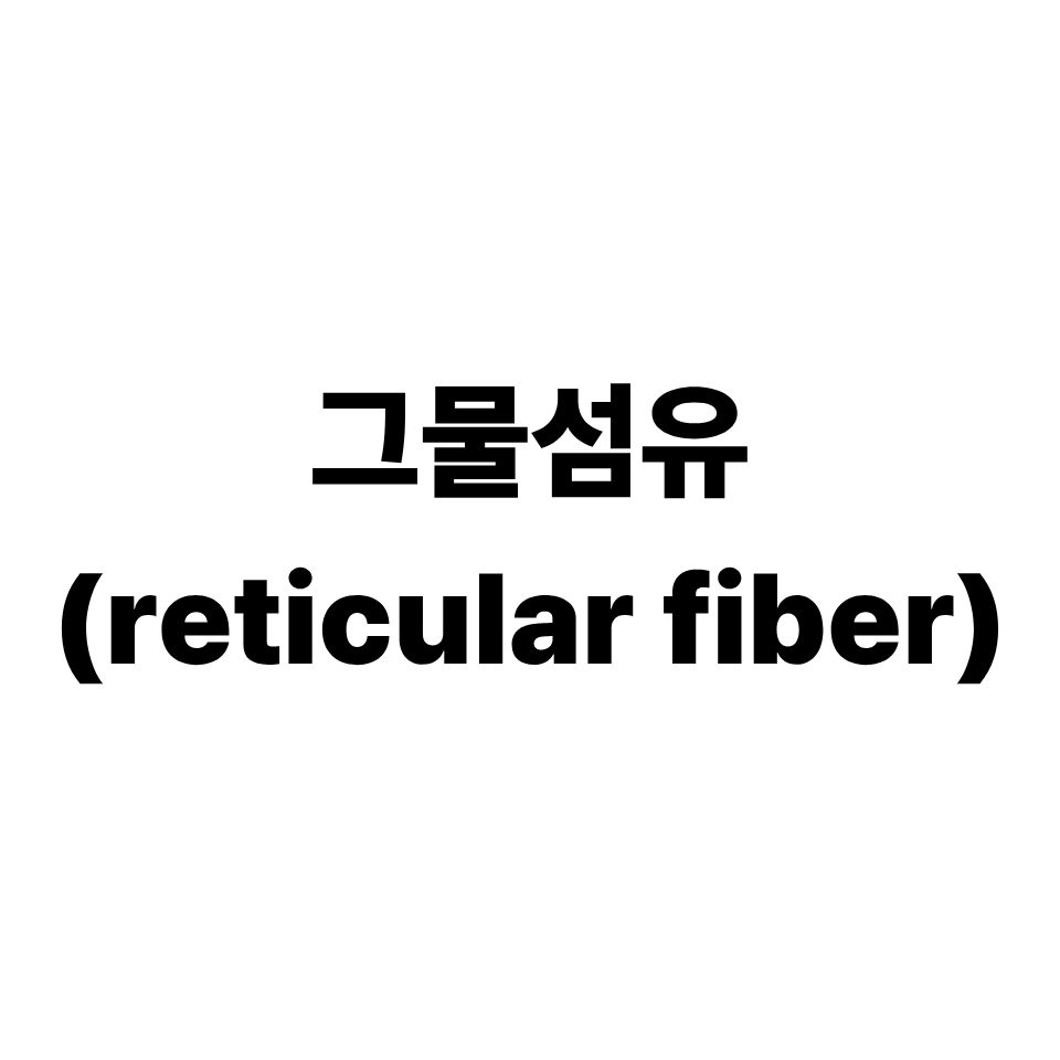 그물섬유