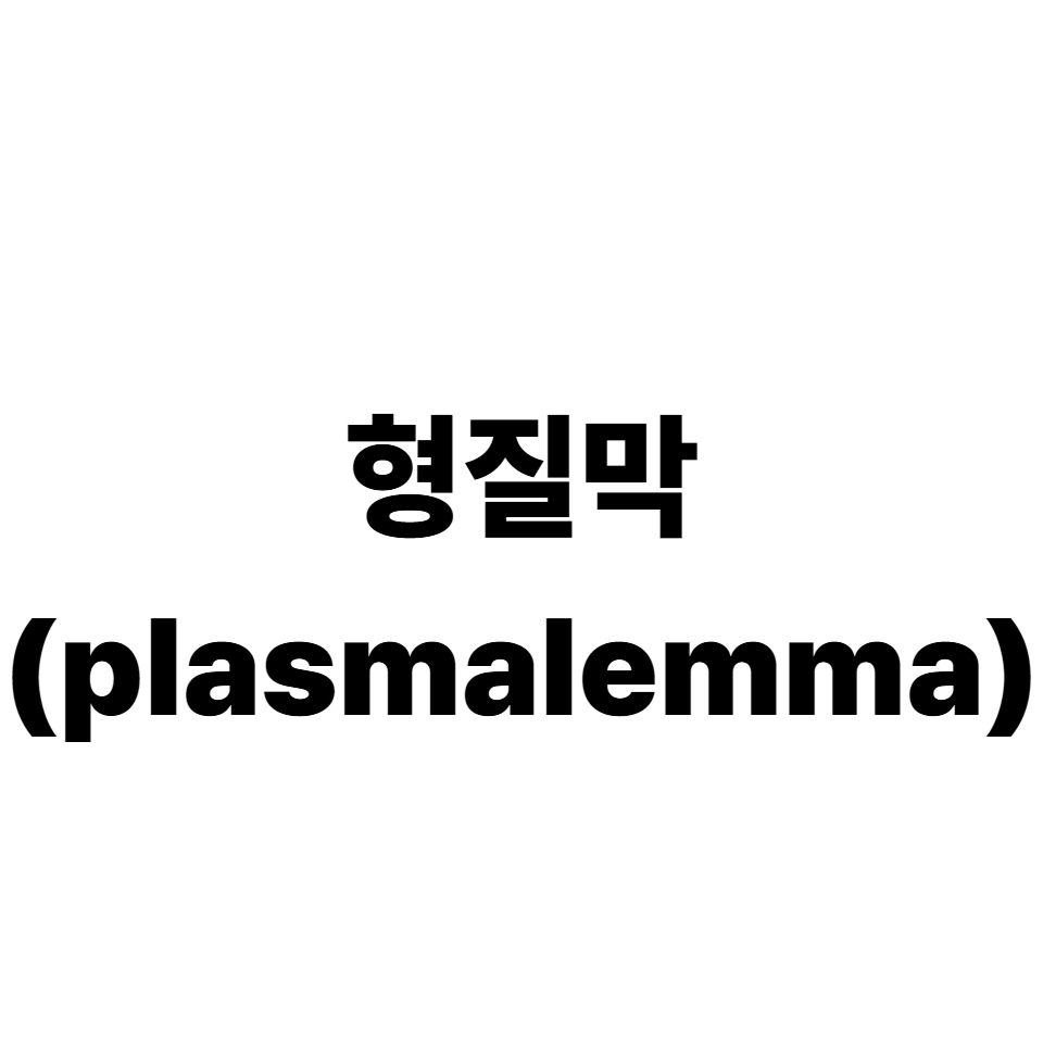 형질막