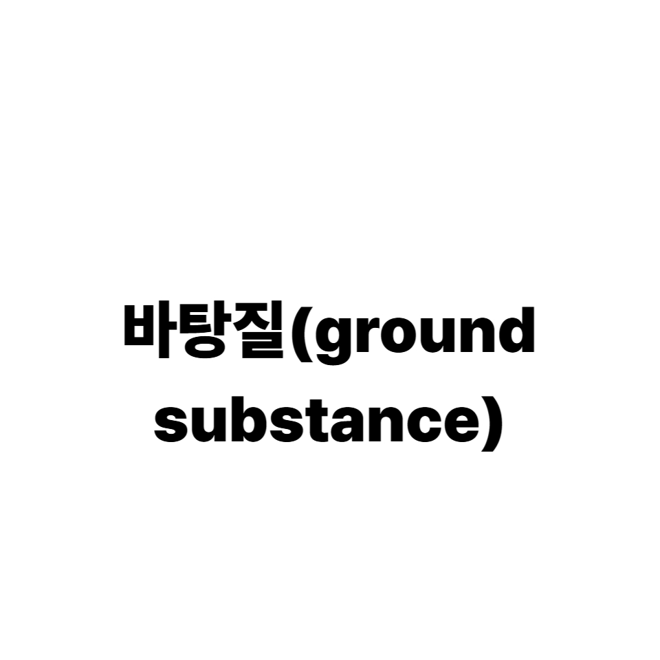 바탕질