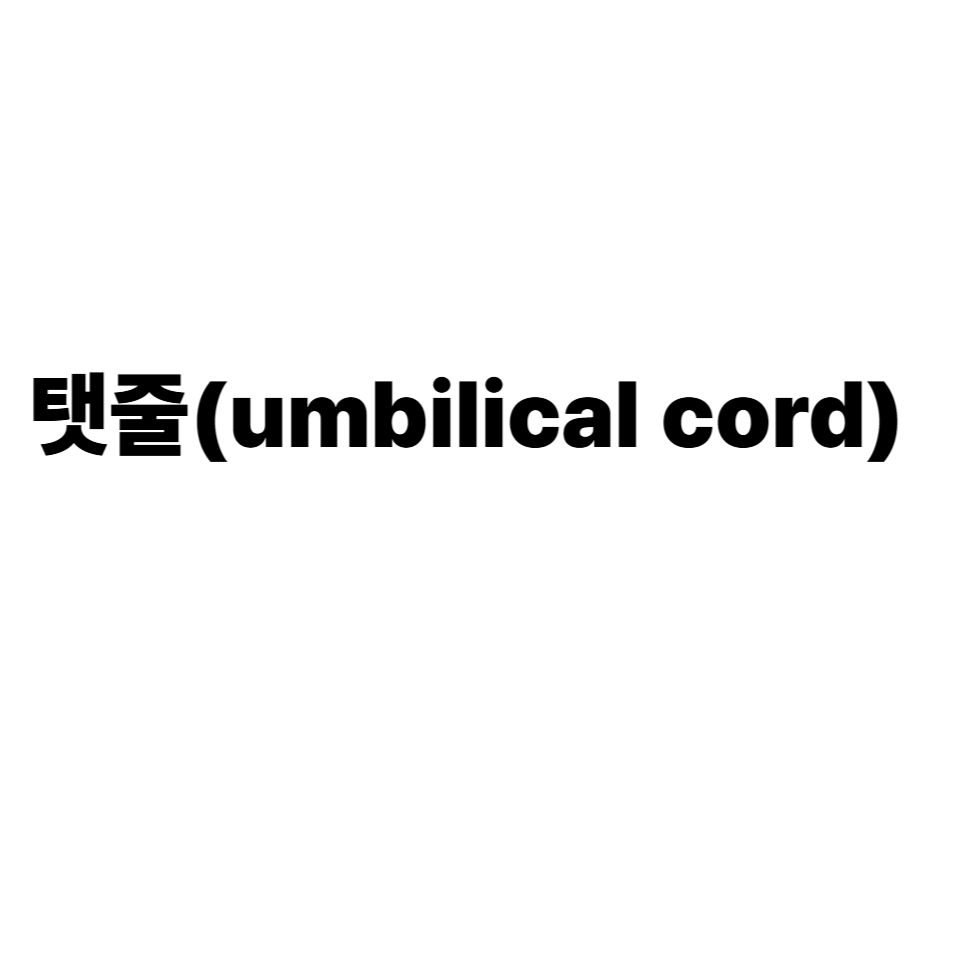 탯줄