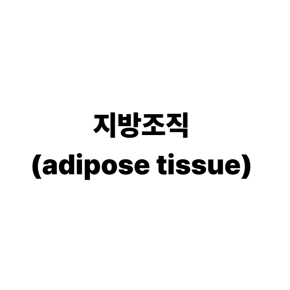 지방조직