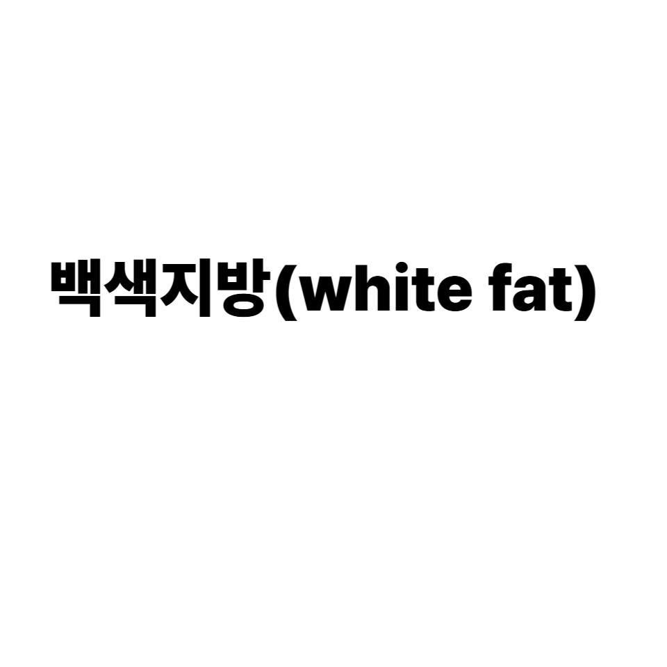 백색지방