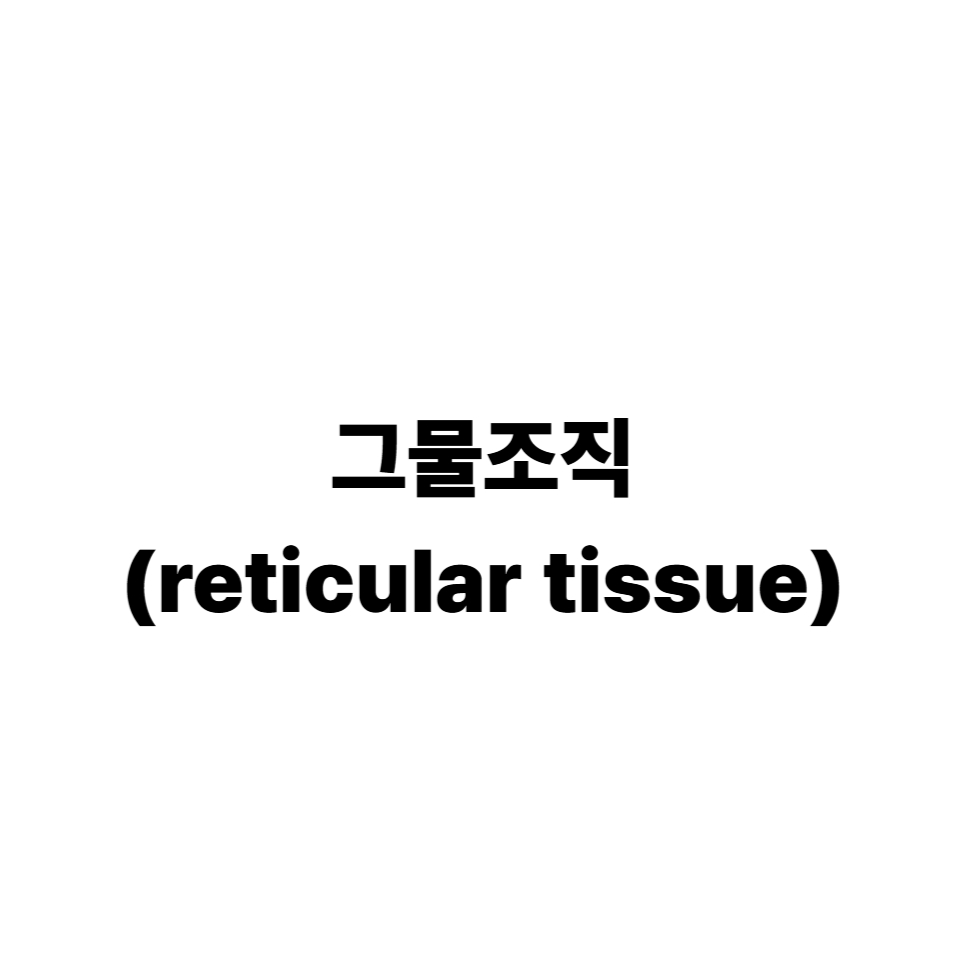 그물조직