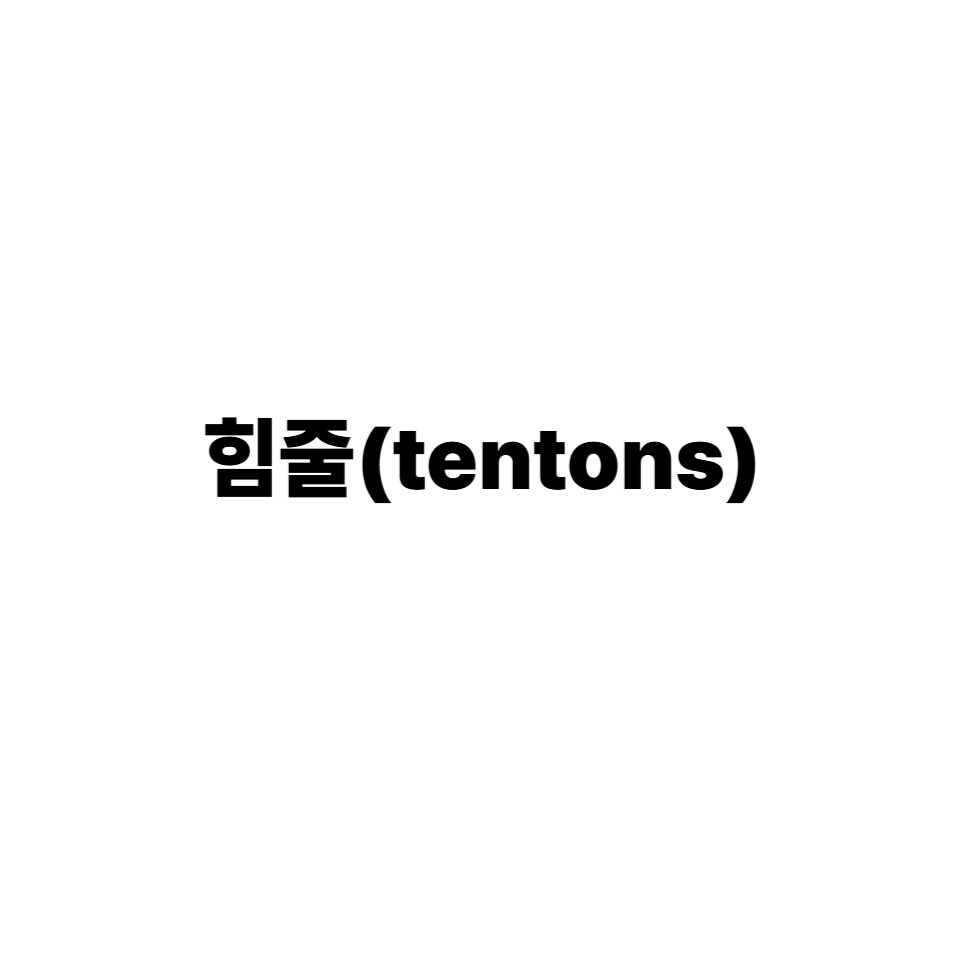 힘줄