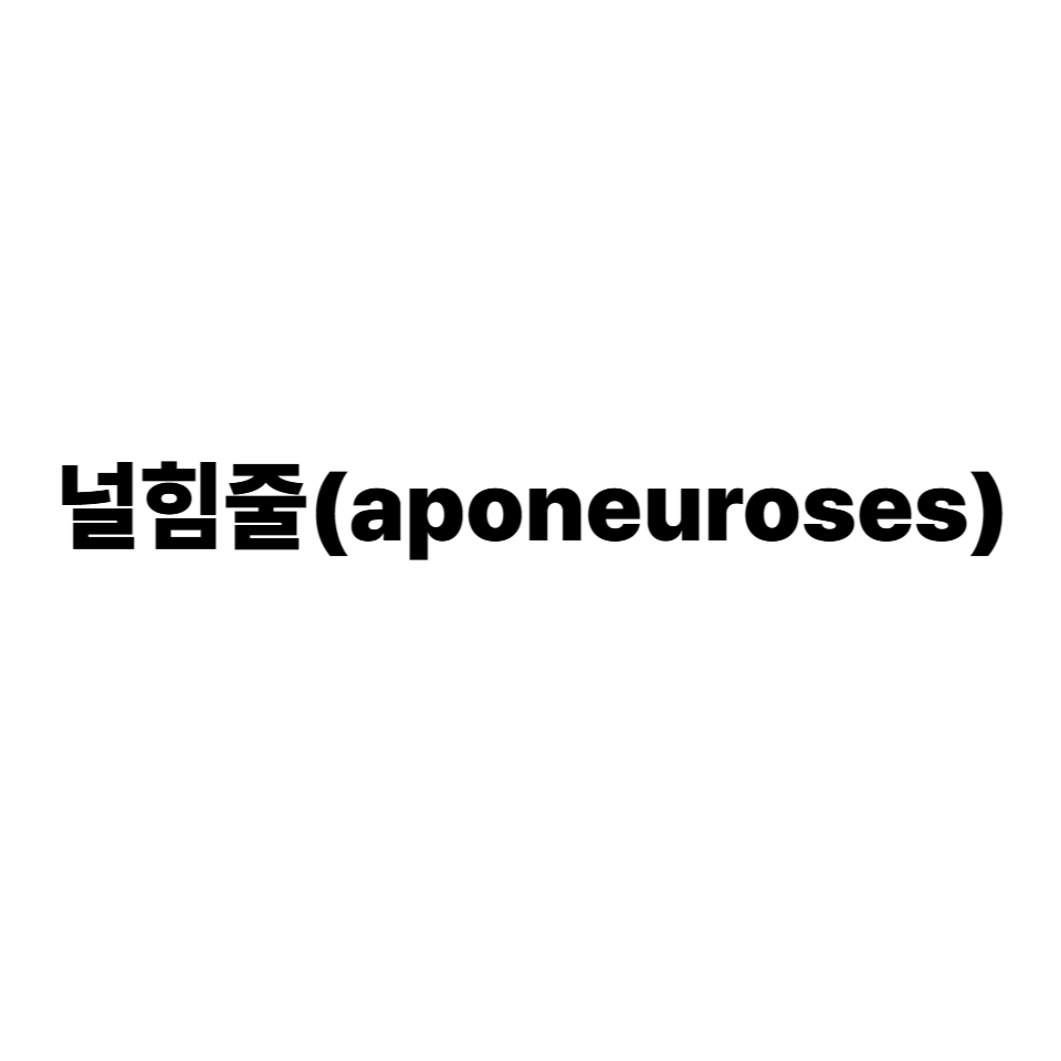 널힘줄