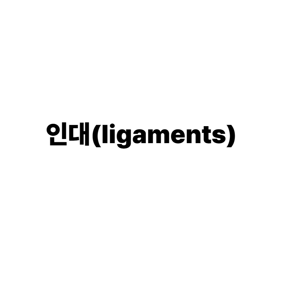 인대