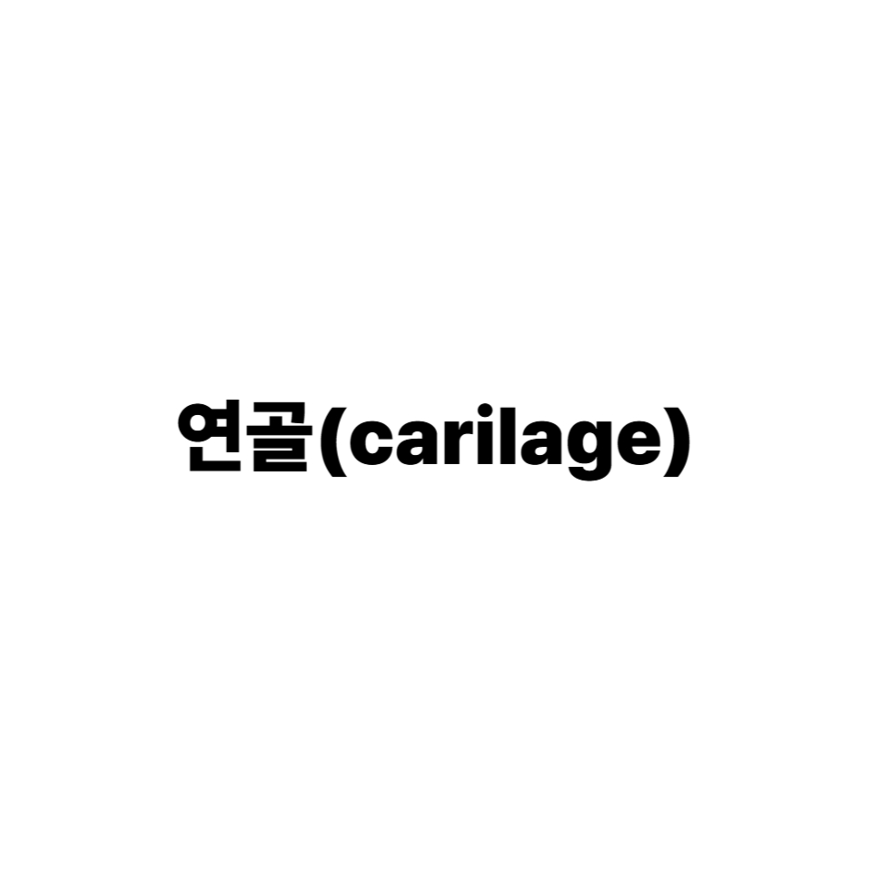 연골
