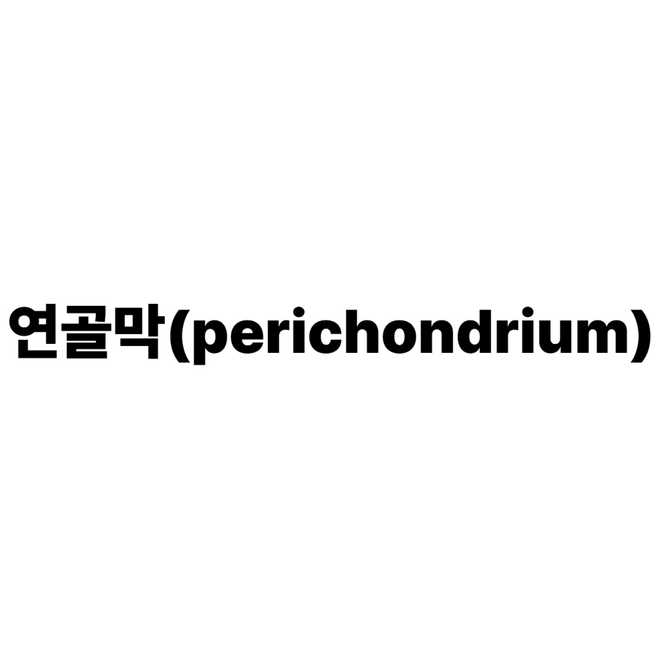 연골막