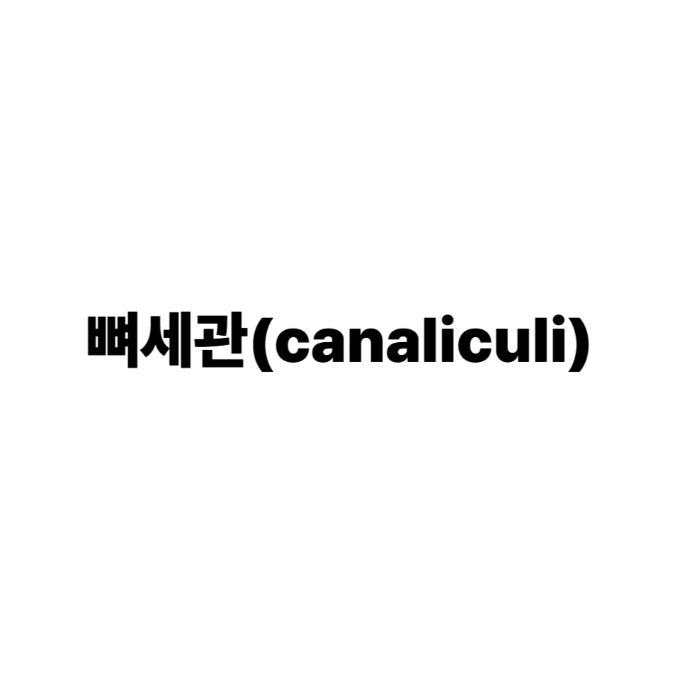 뼈세관
