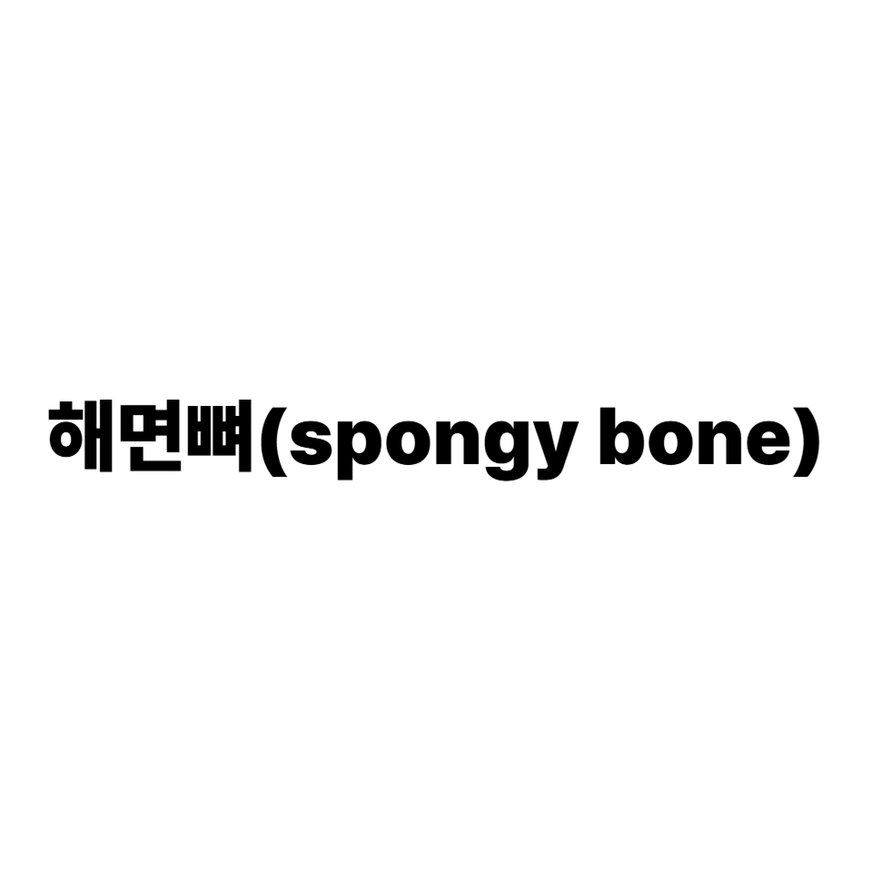 해면뼈
