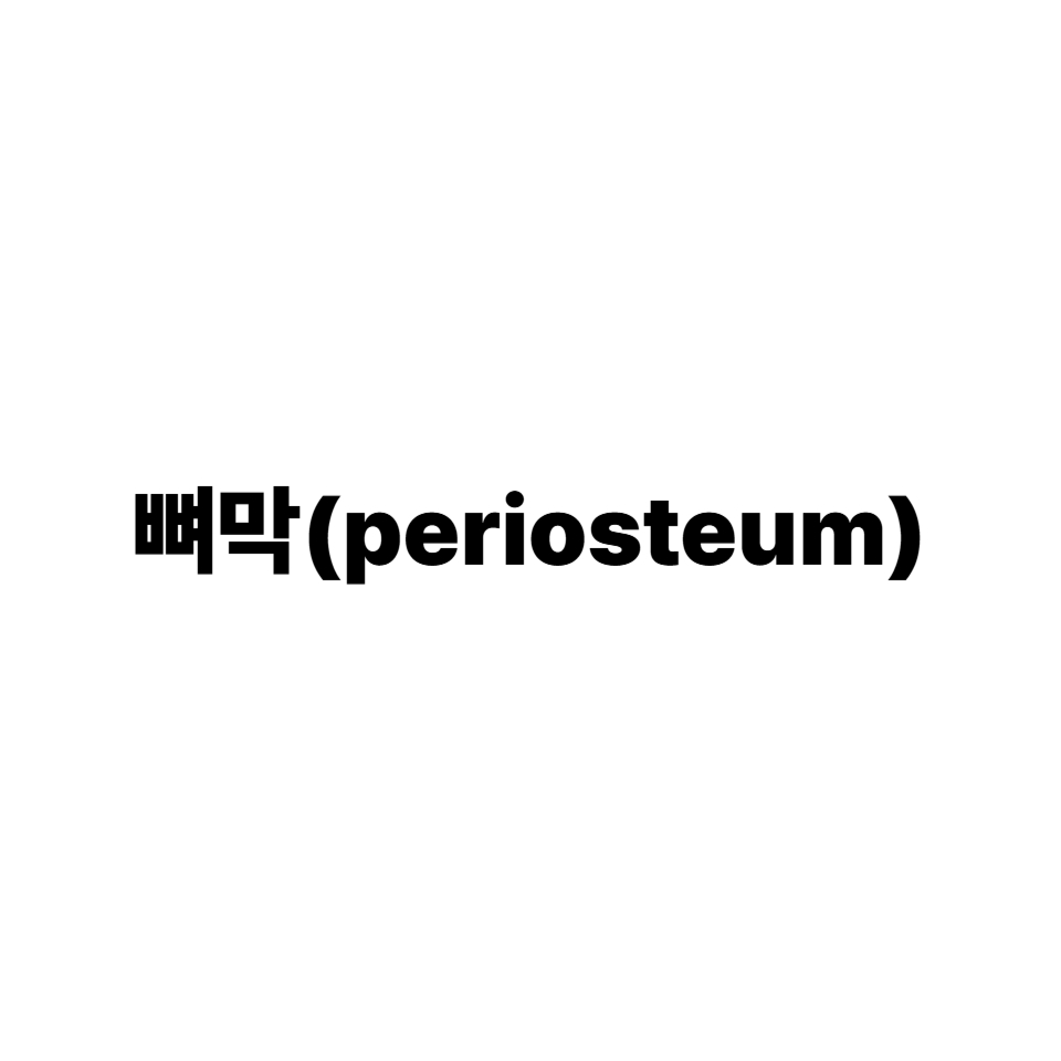 뼈막