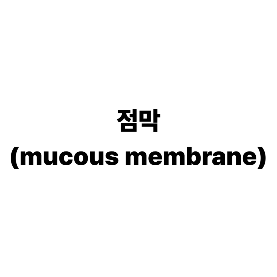 점막