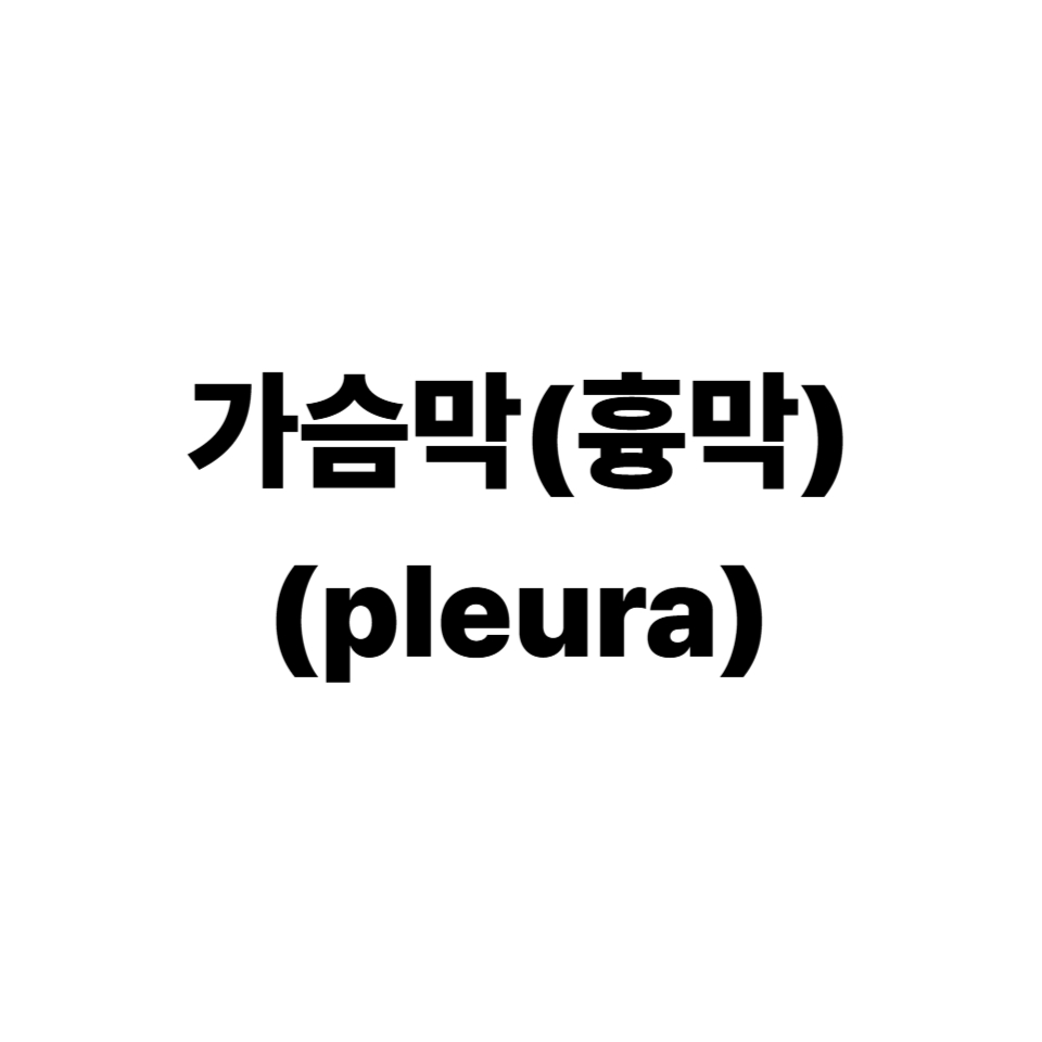 가슴막