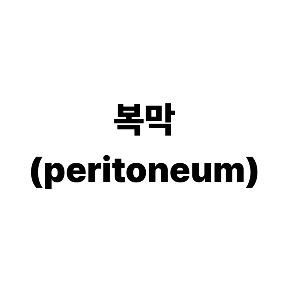 복막