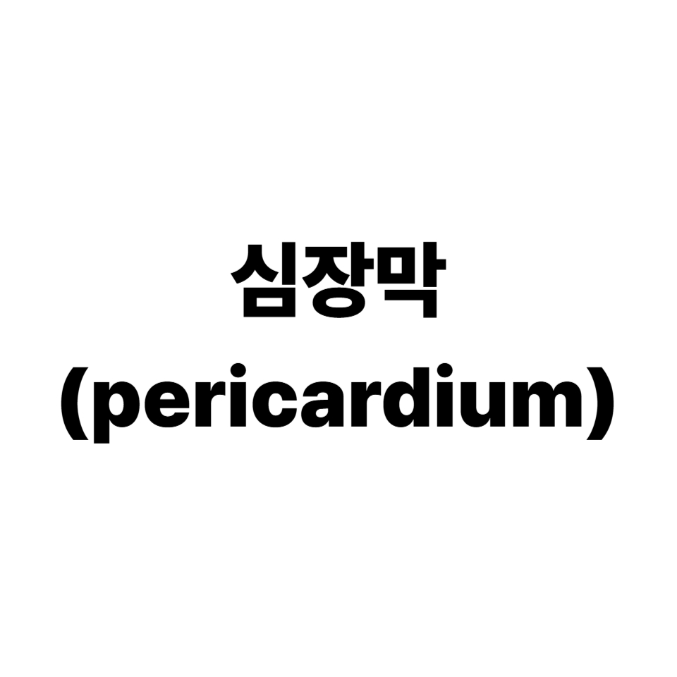 심장막