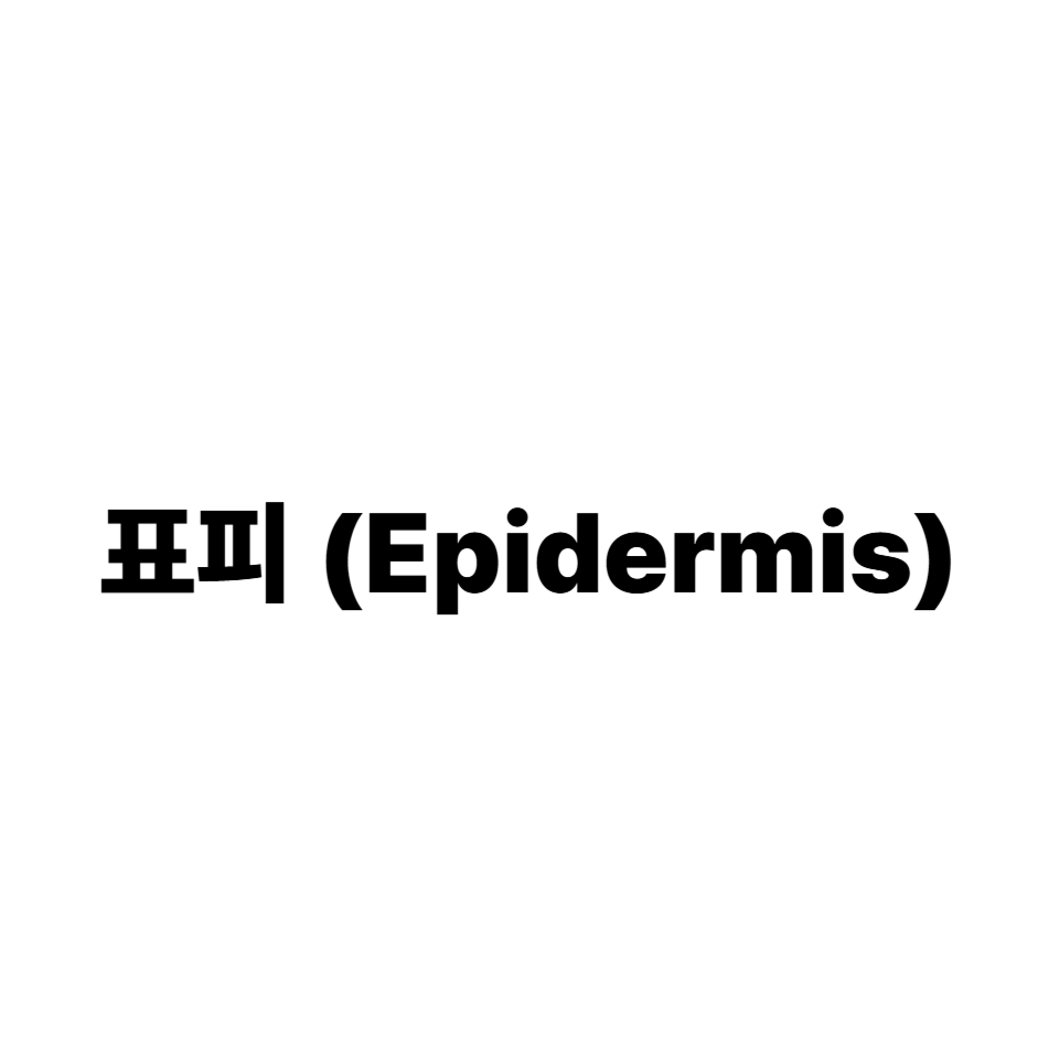 표피