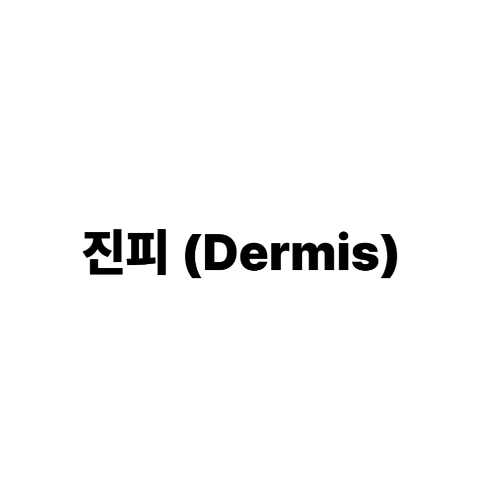 진피