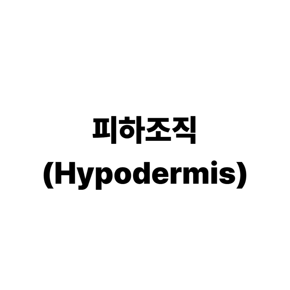 피하조직