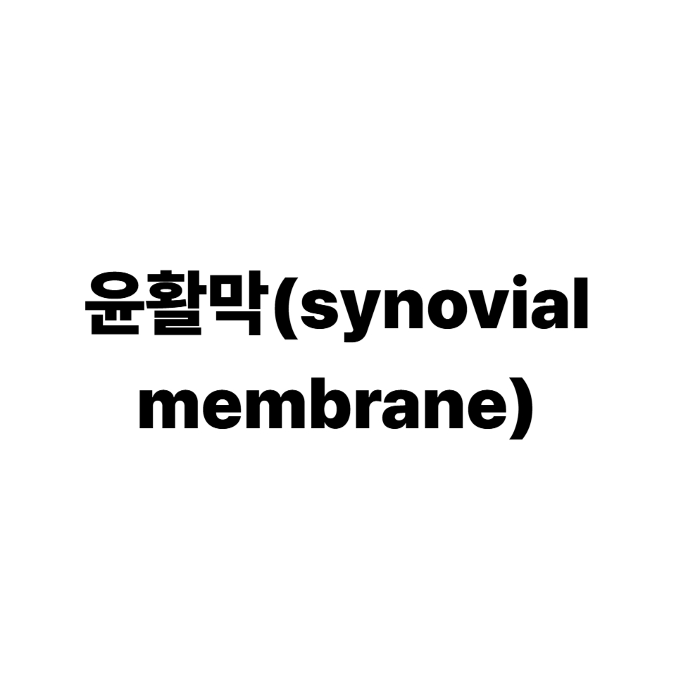 윤활막