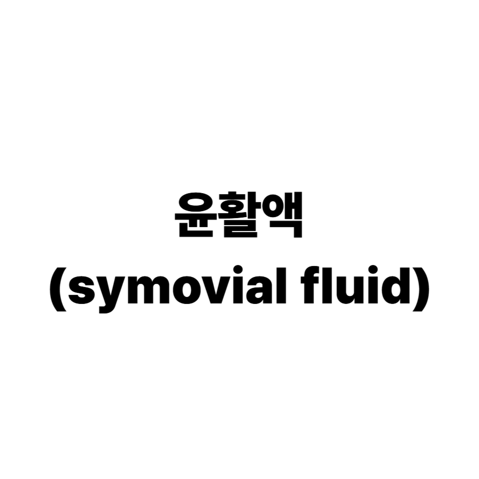 윤활액
