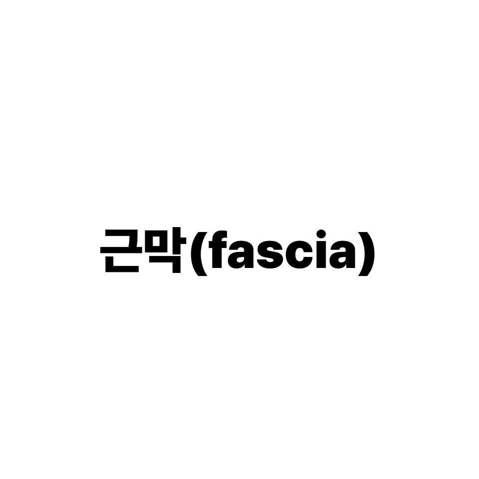 근막