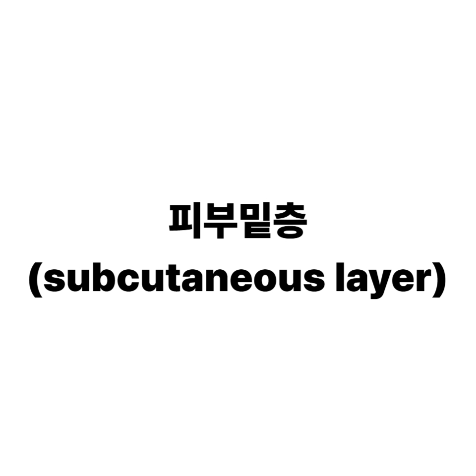 피부밑층