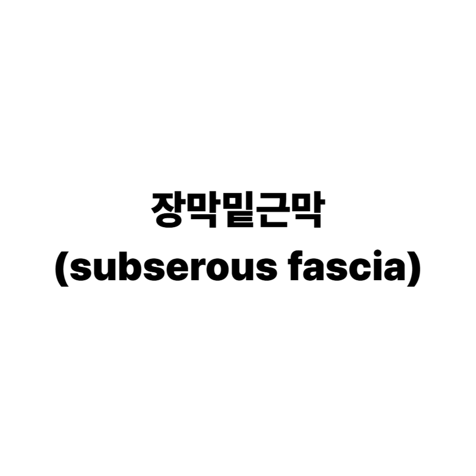 장막밑근막