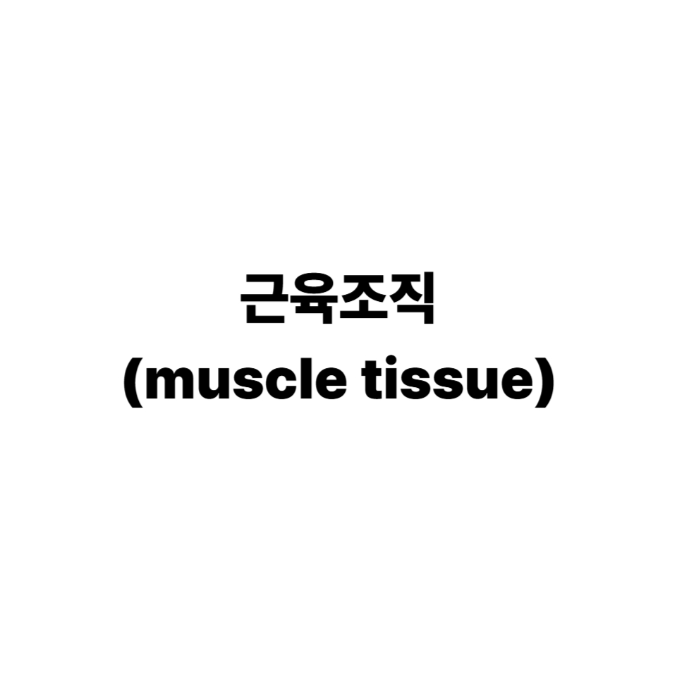 근육조직
