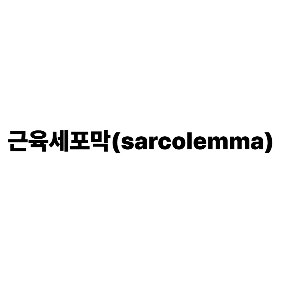근육세포막