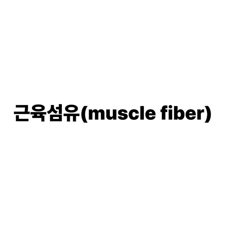 근육섬유