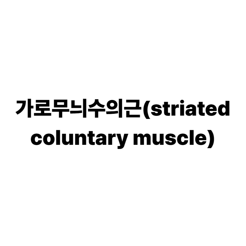 가로무늬근