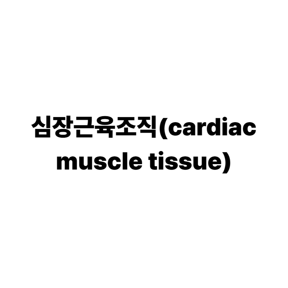 심장근육조직